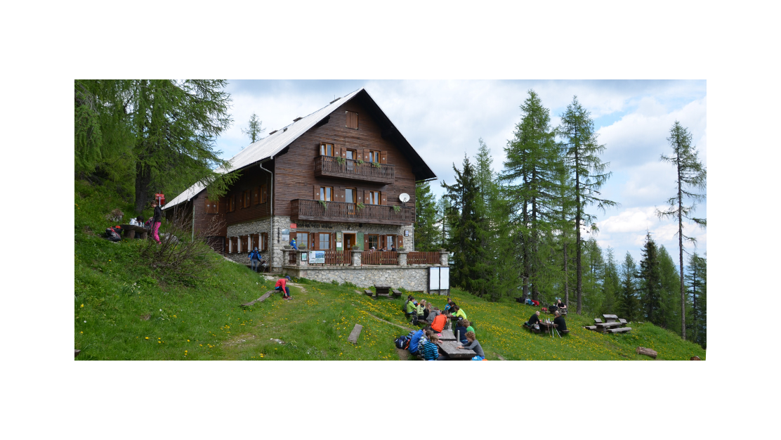 koroška | kam z mulcem