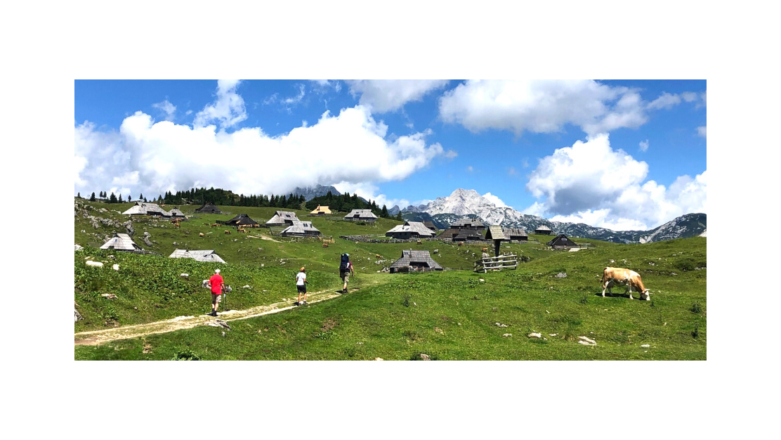 velika planina | kam z mulcem