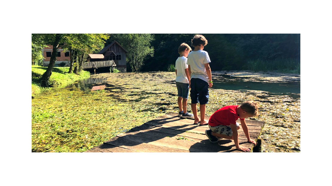 Počitnice v Sloveniji: Bela Krajina