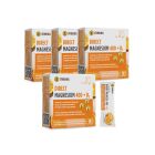 PAKET DIREKT MAGNEZIJ 3+1 GRATIS