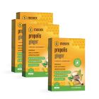 PROPOLIS GINGER 3+1 GRATIS