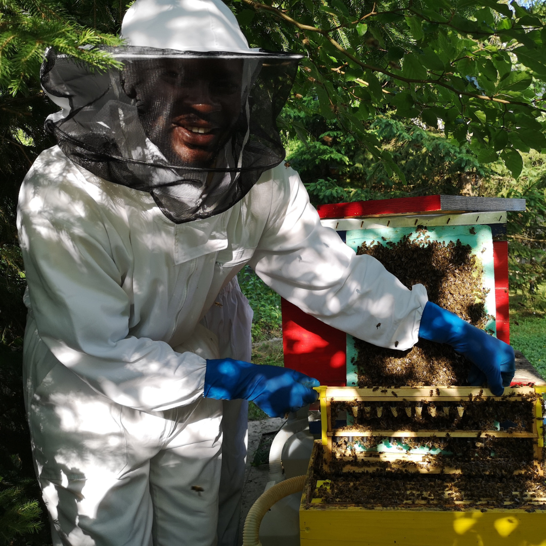 _irjenje__ebelarstva_Trajnost_1080x1080