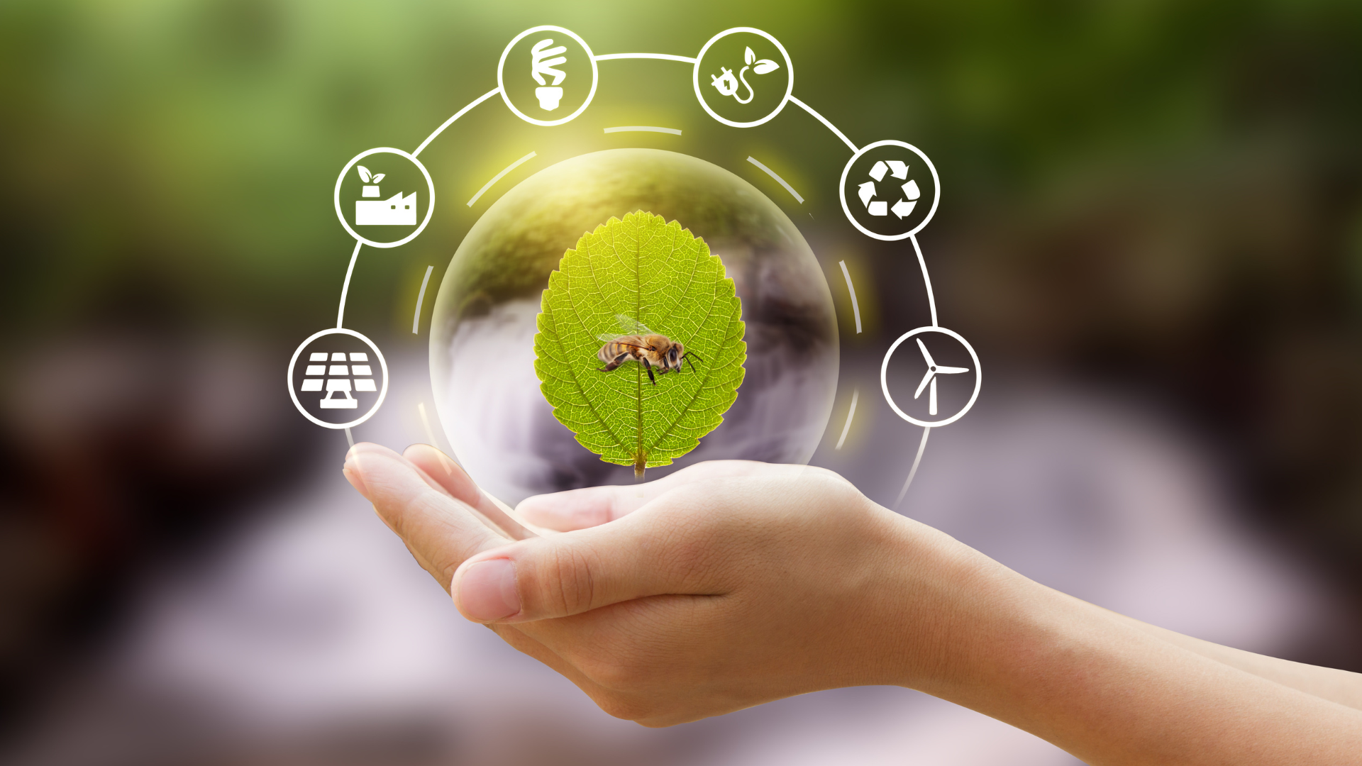green-creative-smart