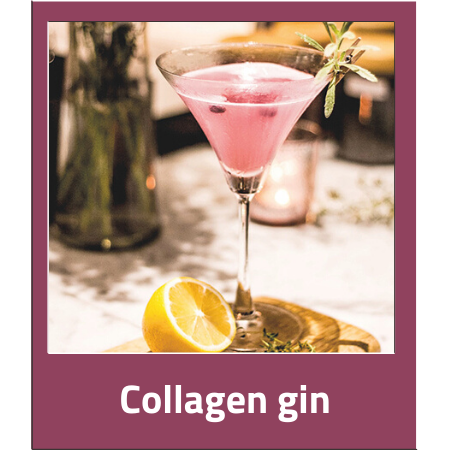 kolagen_gin