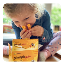 SK_review_Apisirup_2_